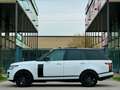 Land Rover Range Rover 3,0 TDV6 Autobiography Weiß - thumbnail 19