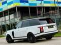 Land Rover Range Rover 3,0 TDV6 Autobiography Weiß - thumbnail 12