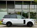Land Rover Range Rover 3,0 TDV6 Autobiography Weiß - thumbnail 4
