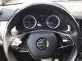 Skoda Kodiaq 2.0 TDI DSG Ambition "Tour" LED NAVI ACC AP Grau - thumbnail 13