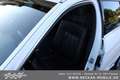 Mercedes-Benz E 350 BlueTEC 4-Matic Navi Sitzheizung Sitzkühlung Schie Weiß - thumbnail 15