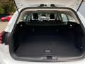 Ford Focus Ford Focus Titanium Weiß - thumbnail 23