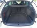 Skoda Octavia RS Combi 2.0 TDI DSG 18"+EL.HECK+NAVI-CO Weiß - thumbnail 12