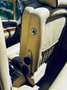 Rolls-Royce Corniche Mulliner Park Ward Braun - thumbnail 17