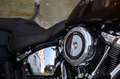 Harley-Davidson Deluxe Harley  Softail Heritage DELUXE 107 M8 DEUTSCH Braun - thumbnail 4