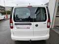 Volkswagen Caddy Cargo TDI 4Motion "AHV, App-Connect, GRA" - thumbnail 3