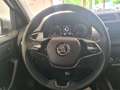 Skoda Fabia Combi Clever Navi Led Kamera 3 Jahre Werkg Argento - thumbnail 9
