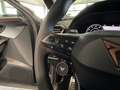 CUPRA Formentor VZ 4Drive *ABT, PANO, AHK, DAB, RFK* Gris - thumbnail 36
