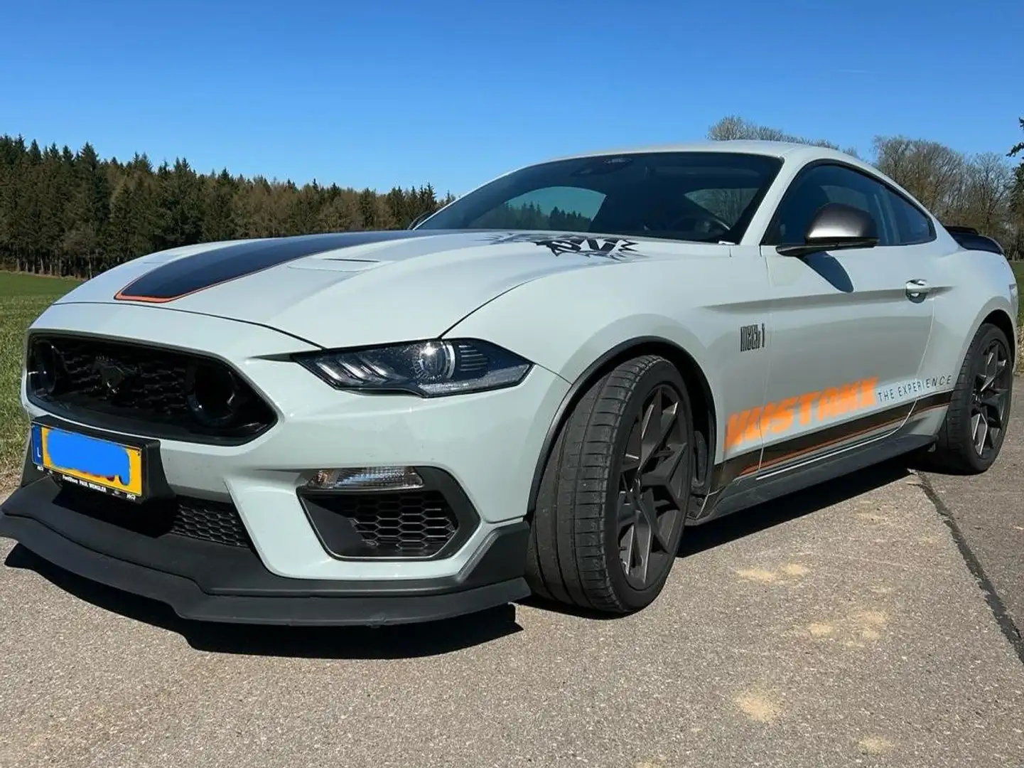 Ford Mustang Mustang Fastback 5.0 Ti-VCT V8 GT Grijs - 2