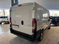 Peugeot Boxer 2.2 HDI COMFORT L1 H1 120cv (850kg portata) +iva Bianco - thumbnail 7