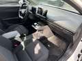 MG MG4 Standard 51kWh SpurH LED KlimaA PDC ACC Weiß - thumbnail 11
