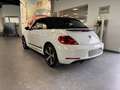 Volkswagen Beetle Cabriolet 1.2 TSI BMT Blanc - thumbnail 3