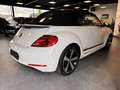 Volkswagen Beetle Cabriolet 1.2 TSI BMT Blanc - thumbnail 6