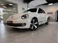 Volkswagen Beetle Cabriolet 1.2 TSI BMT Blanc - thumbnail 1
