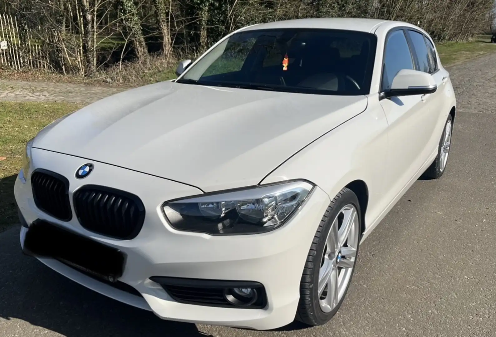 BMW 116 116i Advantage - 1