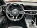 Alfa Romeo Stelvio 2.0 Turbo 16V AT8-Q4 Super Black - thumbnail 12
