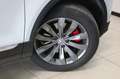 Volkswagen T-Roc 1.5 TSI Sport SOUND|StandHz|NAV|APP|ACC|SHZ Weiß - thumbnail 17