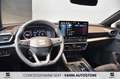 SEAT Leon e-Hybrid Leon 1.5 hybrid 116 CV DSG FR mHEV Nero - thumbnail 10