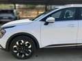 Kia Sportage 1.6 T-GDI  GT-Line Plug-in Hybrid Blanco - thumbnail 27