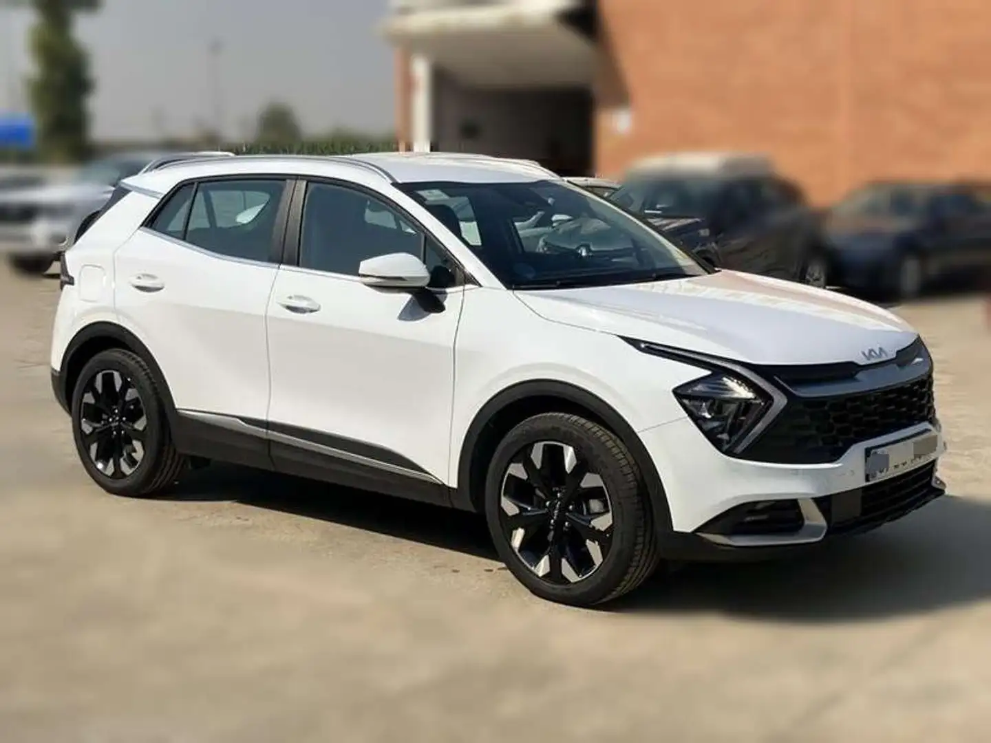 Kia Sportage 1.6 T-GDI GT-Line Plug-in Hybrid Blanco - 2