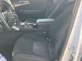 Kia Sportage 1.6 T-GDI  GT-Line Plug-in Hybrid Blanco - thumbnail 18