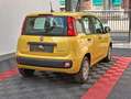 Fiat Panda Panda 1.0 FireFly S&S Hybrid Pandina Giallo - thumbnail 3