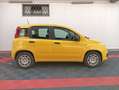 Fiat Panda Panda 1.0 FireFly S&S Hybrid Pandina Giallo - thumbnail 2