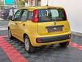 Fiat Panda Panda 1.0 FireFly S&S Hybrid Pandina Giallo - thumbnail 5