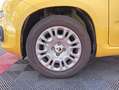 Fiat Panda Panda 1.0 FireFly S&S Hybrid Pandina Giallo - thumbnail 8