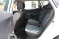 Kia Ceed SW / cee'd SW *Lpg Gasanlage*Inspektion Neu* Weiß - thumbnail 9