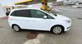 Ford Grand C-Max Grand C-MAX Trend 2,0 TDCi Trend Weiß - thumbnail 3