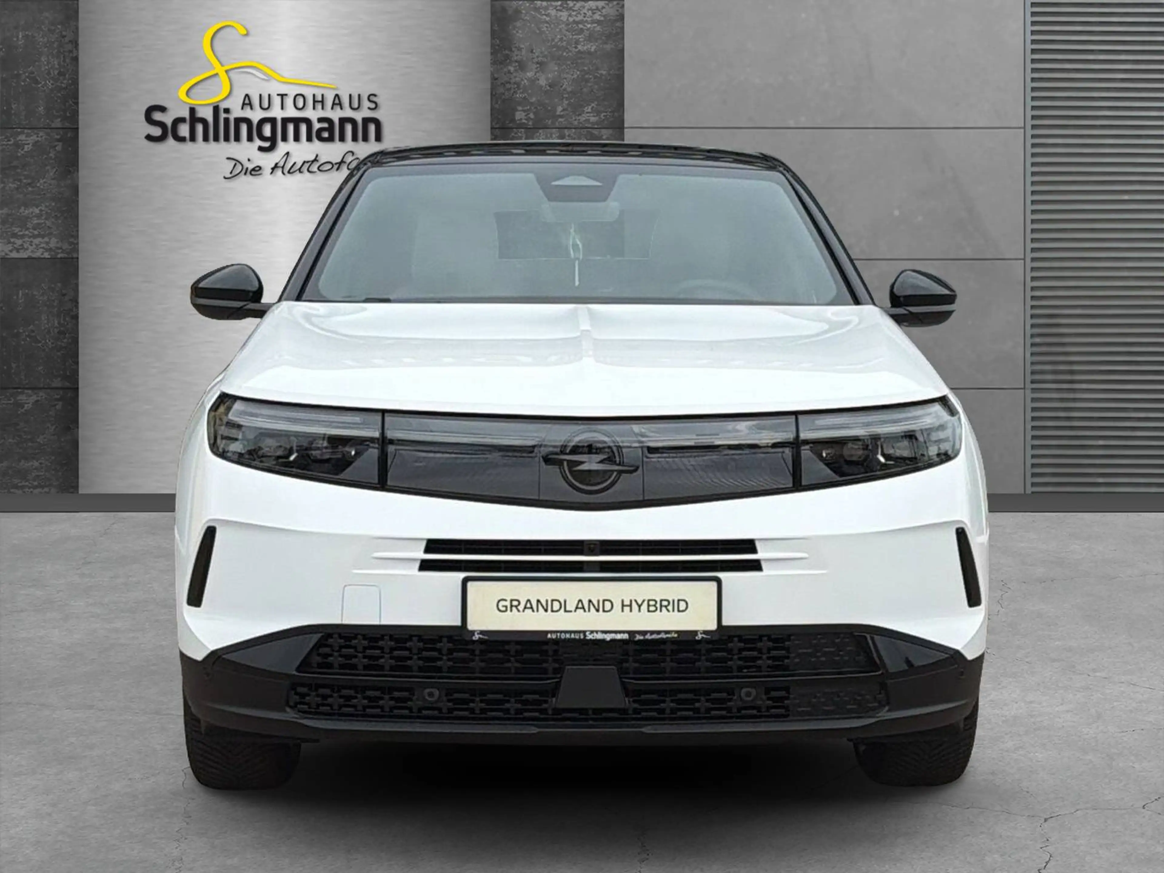 Opel Grandland 1.2 48V Mild-Hybrid 107 kW GS — photo 8