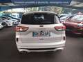 Ford Kuga 2.5 Duratec 190ch FHEV E85 Vignale BVA Weiß - thumbnail 12