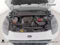 Ford Puma 1.0 ecoboost st-line s&s 125cv Bianco - thumbnail 11