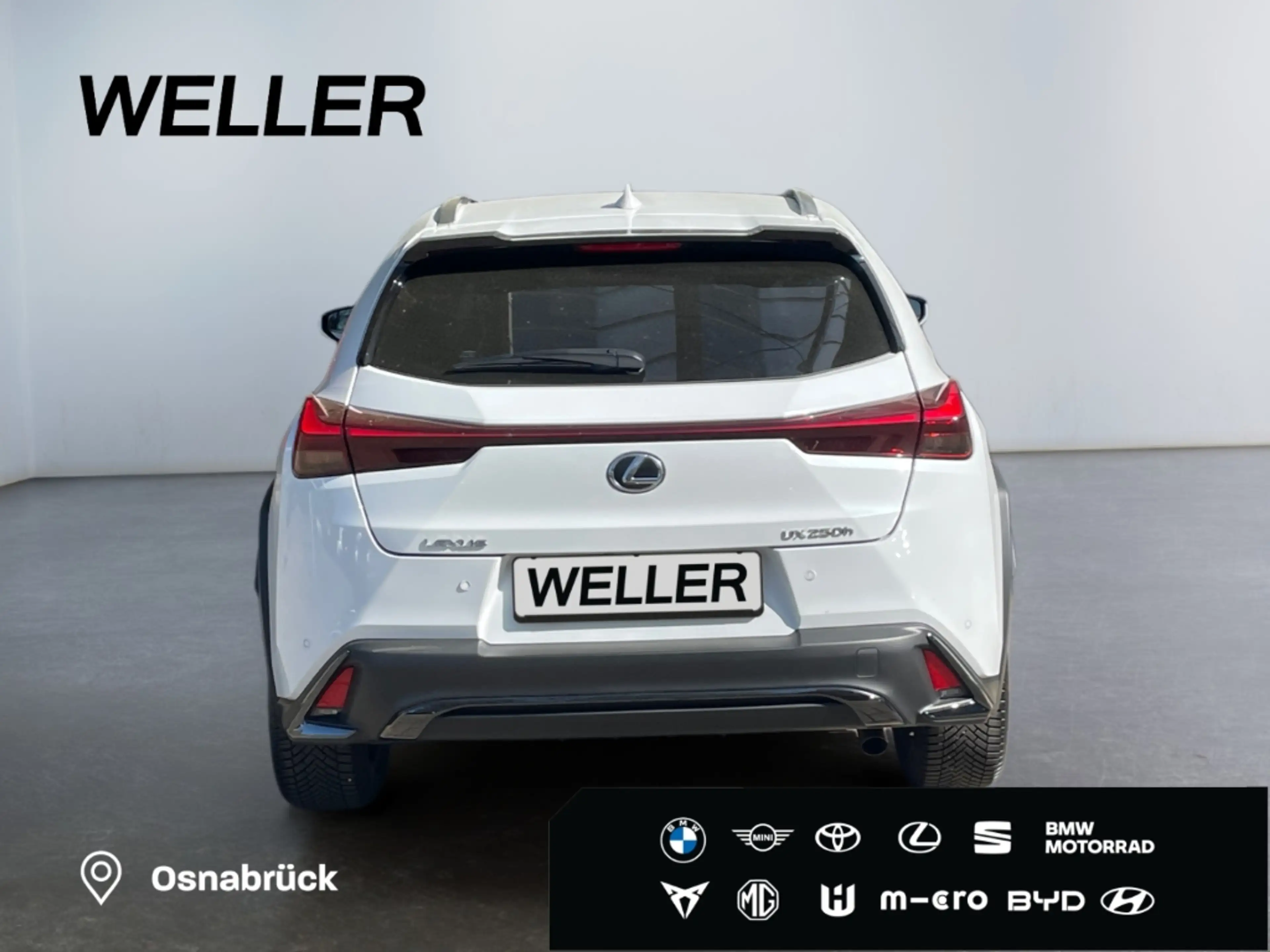 Lexus UX 250h F Sport E-Four *HUD*360°*Levinson*GSD*PDC* — photo 13
