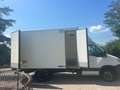 Iveco Daily Weiß - thumbnail 2