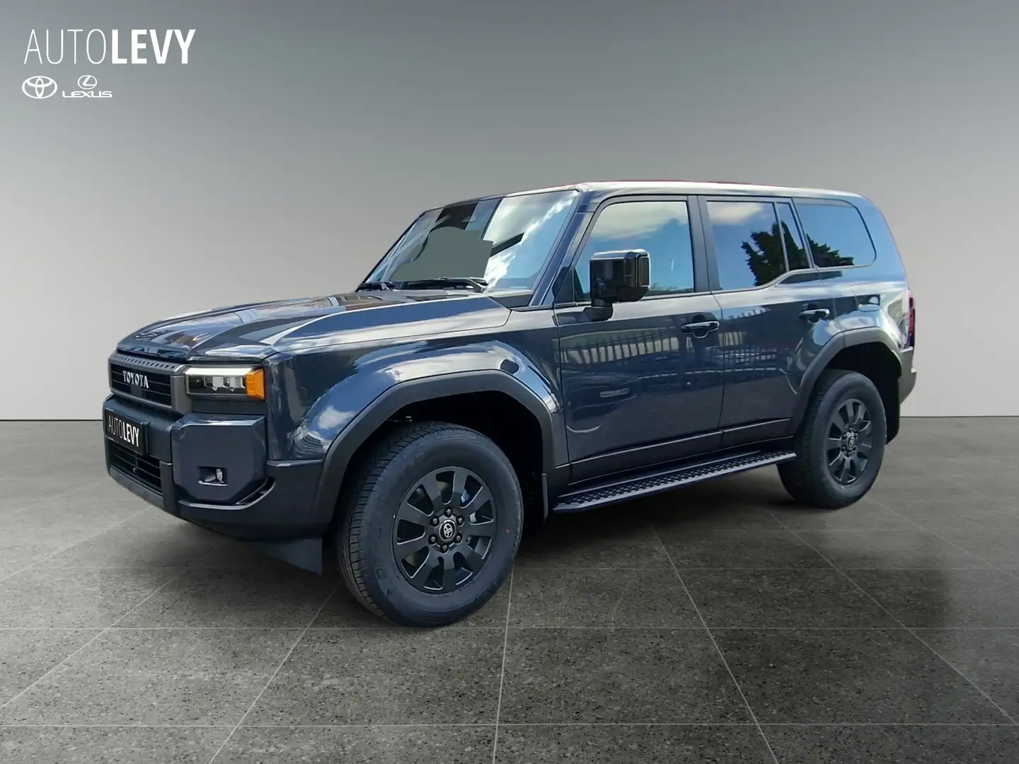 Toyota Land Cruiser 2.8 Executive +7 SITZE+LEDER+ALLRAD Grau - 2
