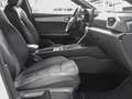 SEAT Leon Sportstourer FR 1.4 eHybrid DSG NAVI Weiß - thumbnail 12