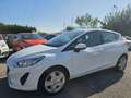 Ford Fiesta 1.5TDCI 86CV 5 PORTE VIGNALE Wit - thumbnail 4