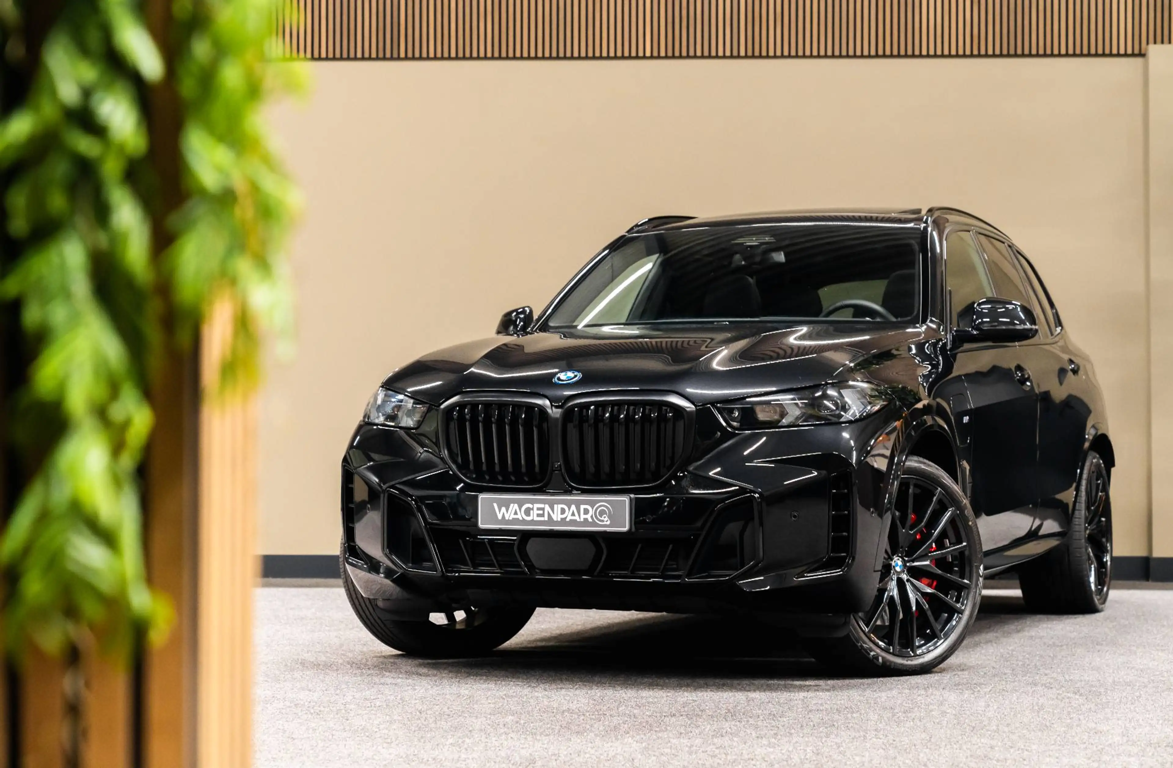 BMW X5 xDrive50e BOWERS/WILKINS.4WSTURING.PANO.THAAK — photo 10