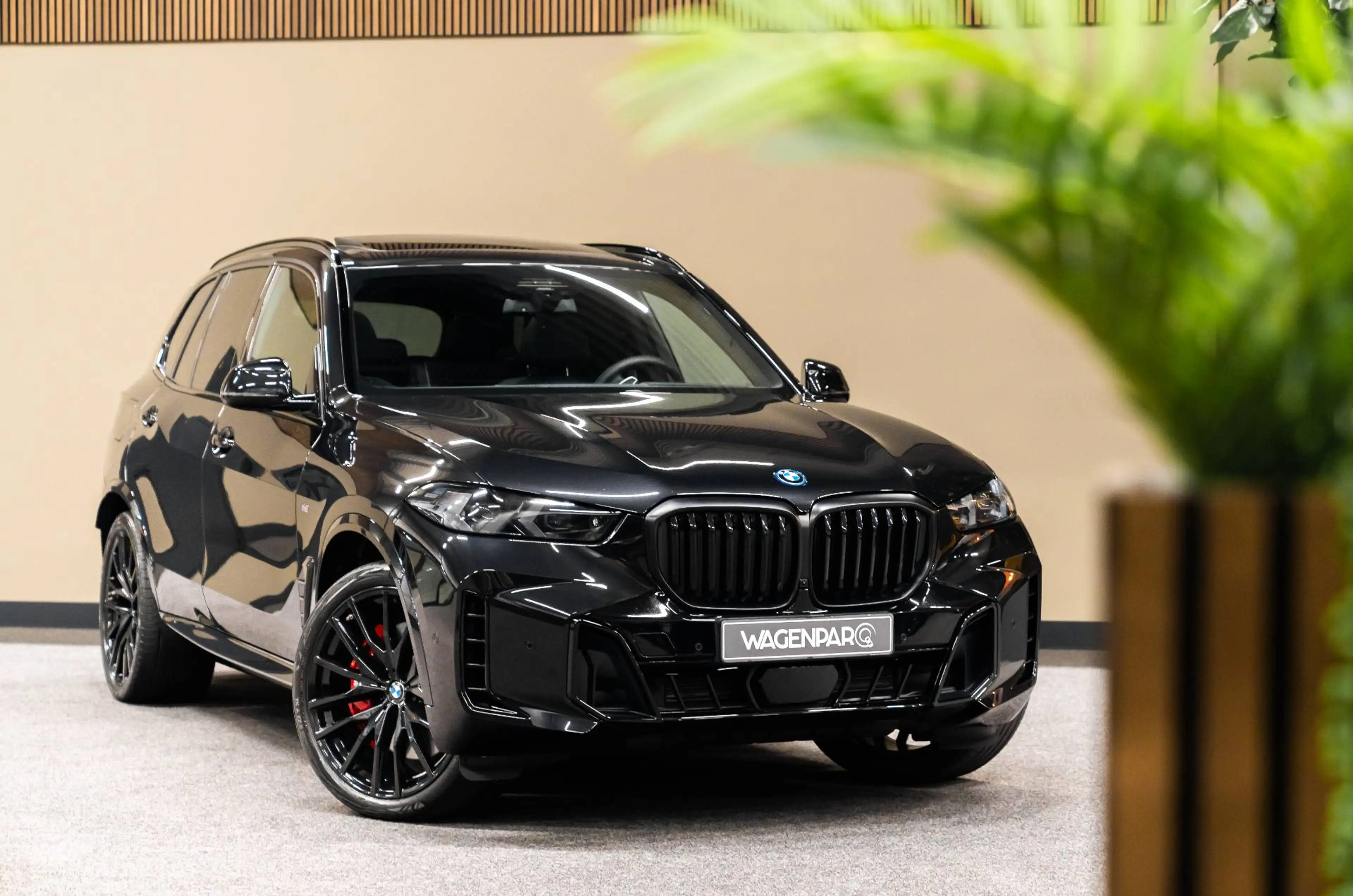 BMW X5 xDrive50e BOWERS/WILKINS.4WSTURING.PANO.THAAK — photo 9