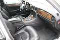 Jaguar Daimler V8 Langversion  2 Jahre Garantie Срібний - thumbnail 17