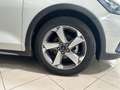 Ford Focus 1.0 Ecoboost MHEV 92kW Active Blanc - thumbnail 19