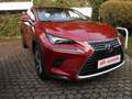 Lexus NX 300 h E-FOUR Luxury Line Hybrid Benzin/Elektro Rojo - thumbnail 1