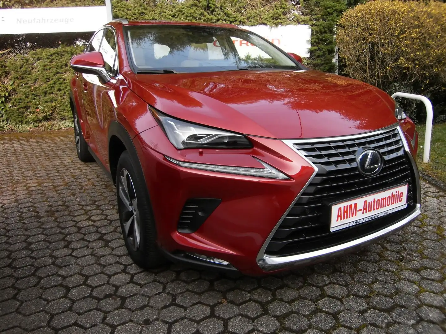 Lexus NX 300 h E-FOUR Luxury Line Hybrid Benzin/Elektro Rojo - 1