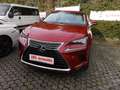 Lexus NX 300 h E-FOUR Luxury Line Hybrid Benzin/Elektro Rojo - thumbnail 2