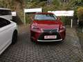Lexus NX 300 h E-FOUR Luxury Line Hybrid Benzin/Elektro Rojo - thumbnail 7