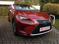 Lexus NX 300 h E-FOUR Luxury Line Hybrid Benzin/Elektro Rojo - thumbnail 22
