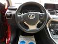Lexus NX 300 h E-FOUR Luxury Line Hybrid Benzin/Elektro Rojo - thumbnail 17