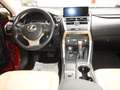 Lexus NX 300 h E-FOUR Luxury Line Hybrid Benzin/Elektro Rojo - thumbnail 16